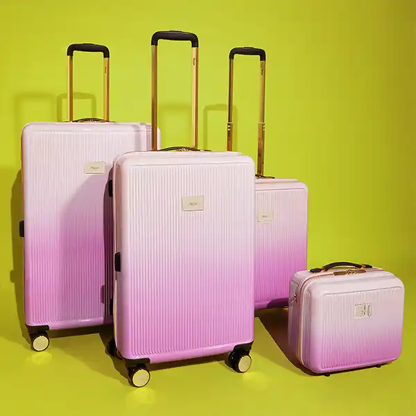 Dune London’s Luggage Collection