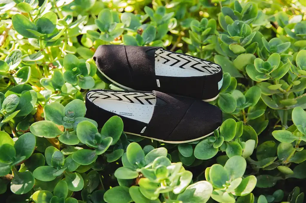 Apparel Group Brand TOMS Launches Sustainability Campaign: Planting Trees for a Greener Future